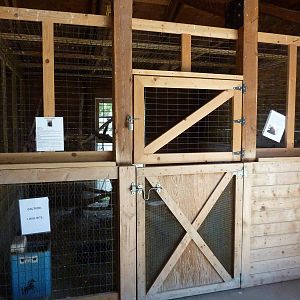 Zoo Montana - Turkey Vulture Exhibit