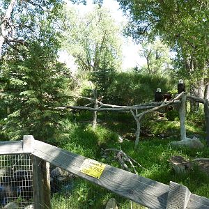 Zoo Montana - Bald Eagle Exhibit