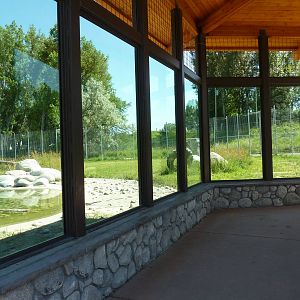 Zoo Montana - 2-Acre Grizzly Bear Exhibit