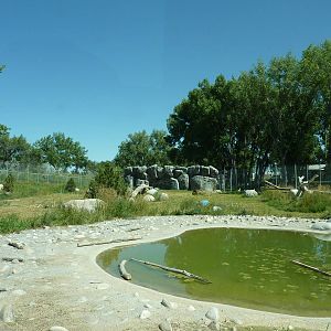Zoo Montana - 2-Acre Grizzly Bear Exhibit