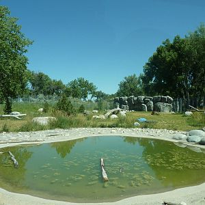Zoo Montana - 2-Acre Grizzly Bear Exhibit