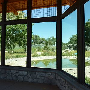 Zoo Montana - 2-Acre Grizzly Bear Exhibit