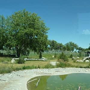 Zoo Montana - 2-Acre Grizzly Bear Exhibit