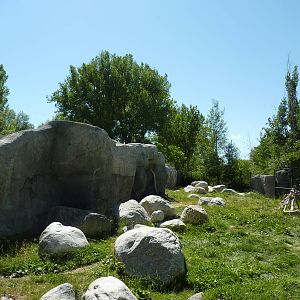 Zoo Montana - Bighorn Sheep Exhibit