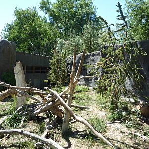 Zoo Montana - Wolverine Exhibit