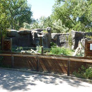 Zoo Montana - Wolverine Exhibit