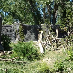 Zoo Montana - Wolverine Exhibit