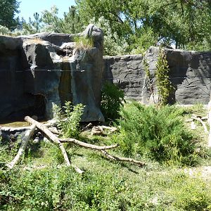 Zoo Montana - Wolverine Exhibit