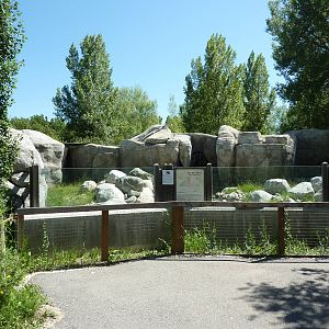 Zoo Montana - Bighorn Sheep Exhibit
