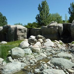Zoo Montana - Bighorn Sheep Exhibit