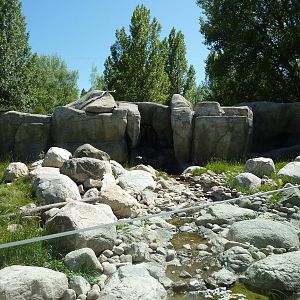 Zoo Montana - Bighorn Sheep Exhibit