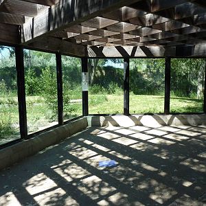 Zoo Montana - Amur Tiger Exhibit