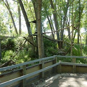 Zoo Montana - Red Panda Exhibit
