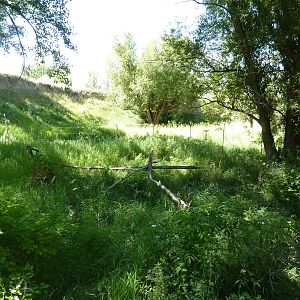 Zoo Montana - Northern Mainland Sika Deer Exhibit