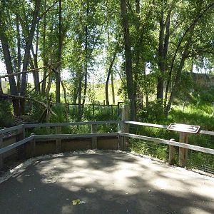 Zoo Montana - Red Panda + Sika Deer Exhibits
