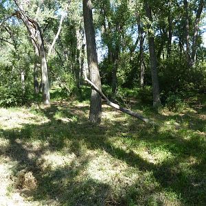 Zoo Montana - Wolf Exhibit