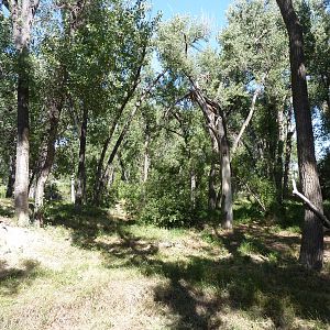 Zoo Montana - Wolf Exhibit