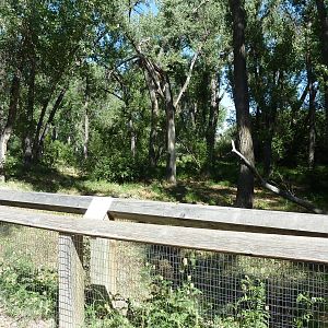 Zoo Montana - Wolf Exhibit