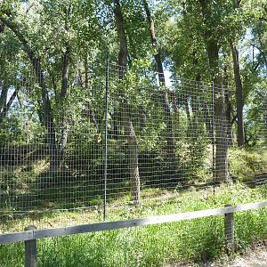 Zoo Montana - Wolf Exhibit