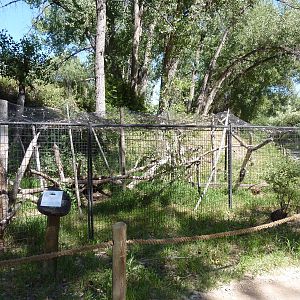 Zoo Montana - Raven Exhibit