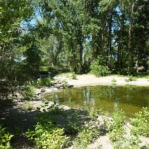 Zoo Montana - Waterfowl Exhibit