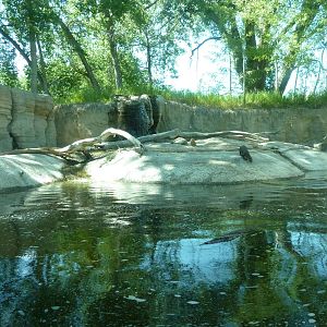 Zoo Montana - River Otter Exhibit