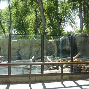 Zoo Montana - River Otter Exhibit