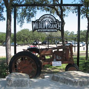 Natural Bridge Wildlife Ranch - Entrance