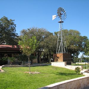Natural Bridge Wildlife Ranch - Walk-A-Bout