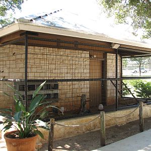 Natural Bridge Wildlife Ranch - Walk-A-Bout - Chicken Exhibit
