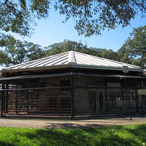 Natural Bridge Wildlife Ranch - Walk-A-Bout - Bird and Lemur Exhibits