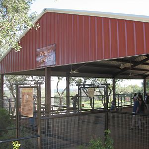 Natural Bridge Wildlife Ranch - Walk-A-Bout - Petting Barnyard