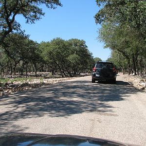 Natural Bridge Wildlife Ranch - Tatonka Range