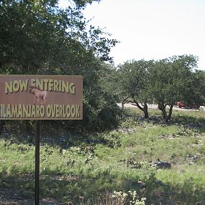 Natural Bridge Wildlife Ranch - Tatonka Range - Kilamanjaro Overlook