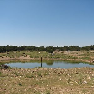 Natural Bridge Wildlife Ranch - Kenyan Preserve