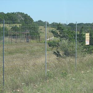 Natural Bridge Wildlife Ranch - Special Breeding Facilities - Bongo