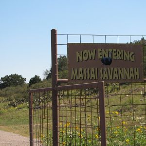 Natural Bridge Wildlife Ranch - Massai Savannah - Entrance
