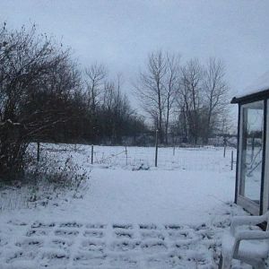 Winter at the petting zoo