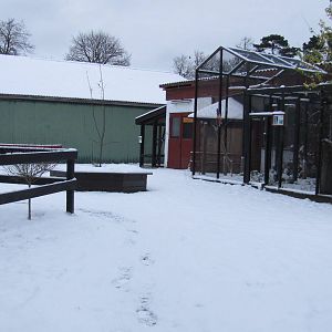 Winter at the petting zoo