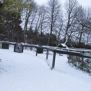 Winter at the petting zoo