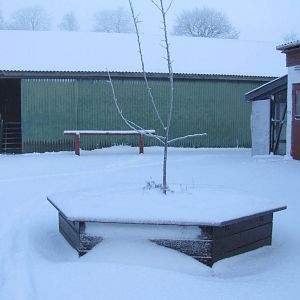 Winter at the petting zoo