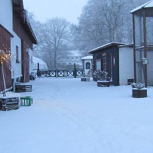 Winter at the petting zoo