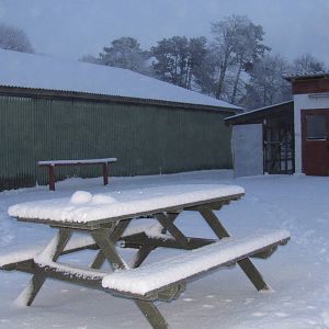 Winter at the petting zoo