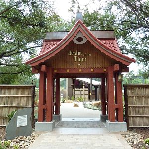Baton Rouge Zoo - Realm Of The Tiger