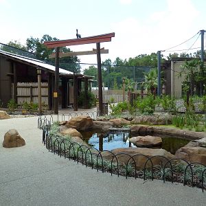Baton Rouge Zoo - Realm Of The Tiger
