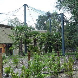 Baton Rouge Zoo - Realm Of The Tiger