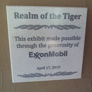 Baton Rouge Zoo - Realm Of The Tiger