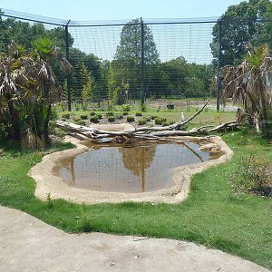 Baton Rouge Zoo - Realm Of The Tiger