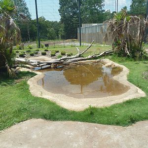 Baton Rouge Zoo - Realm Of The Tiger