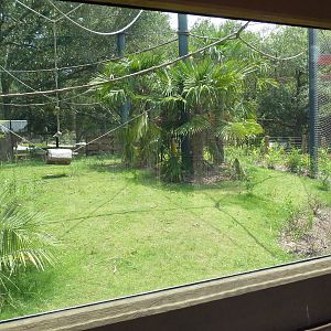 Baton Rouge Zoo - Realm Of The Tiger